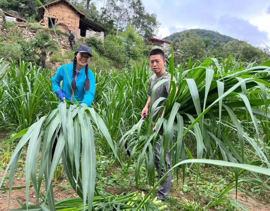 南漳：小夫妻养殖“跑山猪”， 跑出致富“加速度”