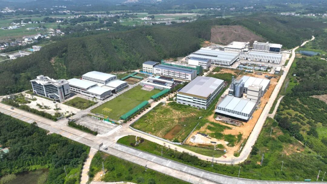 龙门丝苗米省级现代农业产业园打造大米全产业链，走出一条乡村振兴新“稻”路。