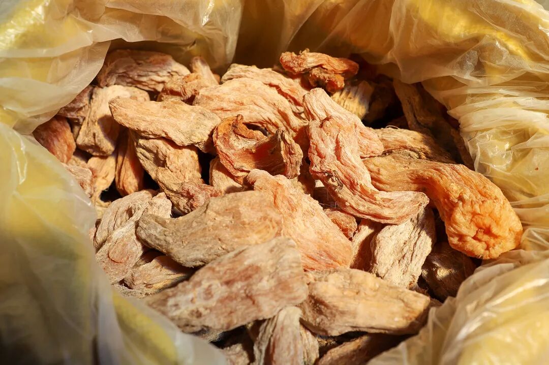 白云乡芭蕉芋产业蓄势待发