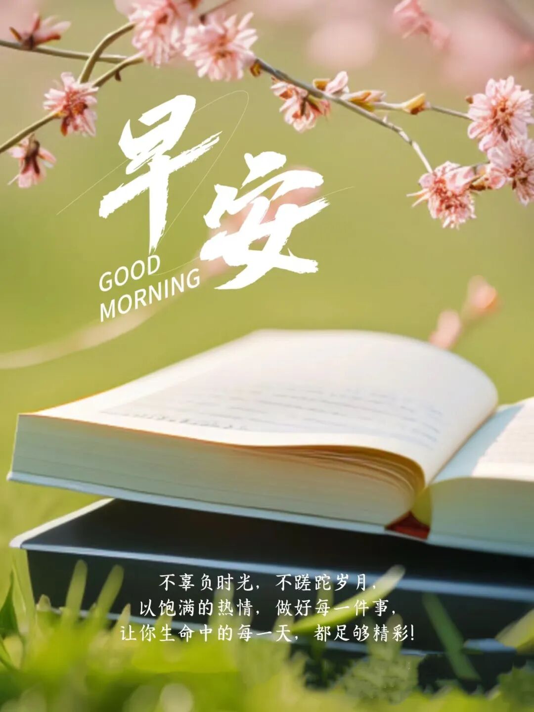 精彩大气的早安励志一句话,不辜负时光,不蹉跎岁月!
