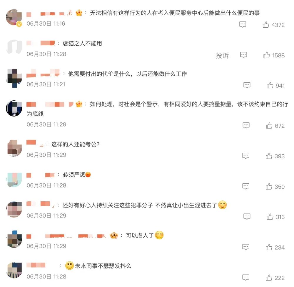 虐猫考生被取消招聘资格