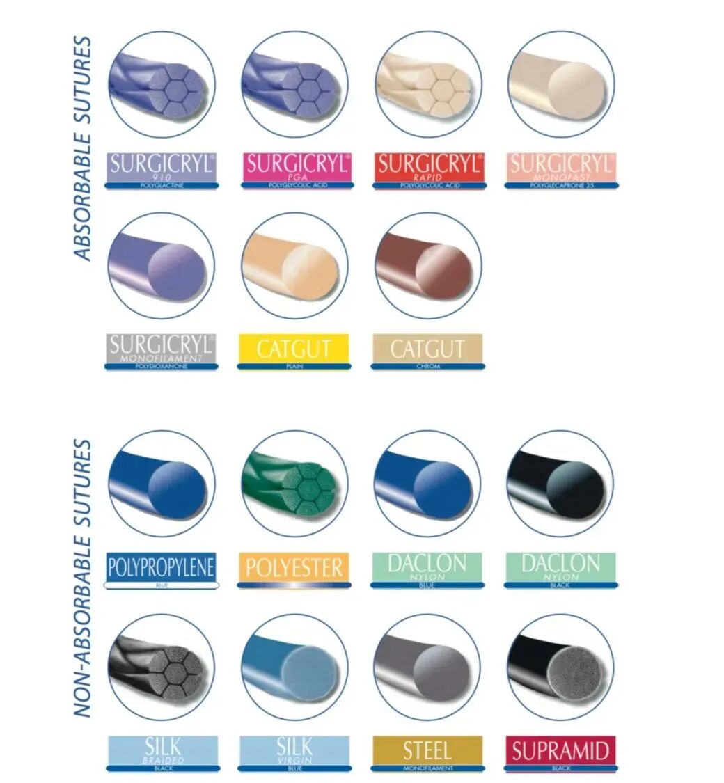 小儿的PDS怎么缝的关于手术过程中使用的缝线_https://www.jmylbn.com_新闻资讯_第5张