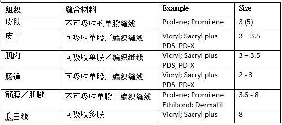 小儿的PDS怎么缝的关于手术过程中使用的缝线_https://www.jmylbn.com_新闻资讯_第7张