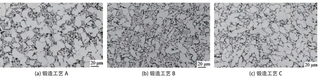 锻造工艺和热处理工艺对TC4-DT合金锻件组织性能影响的图8