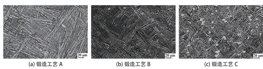 锻造工艺和热处理工艺对TC4-DT合金锻件组织性能影响的图9