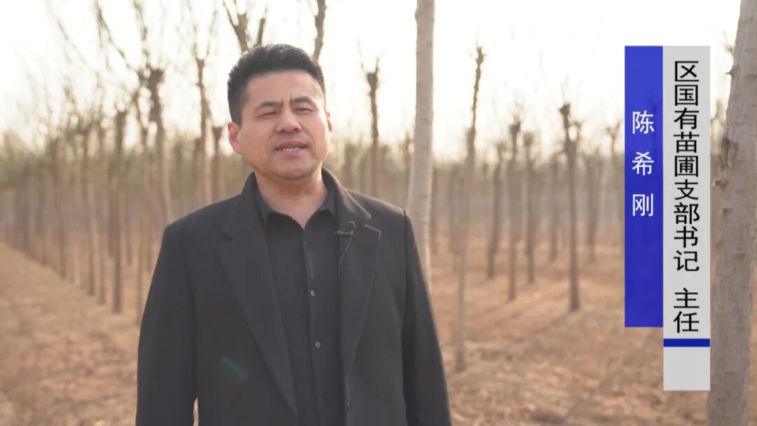 茌平涉农审批再优化全力保障春耕备耕