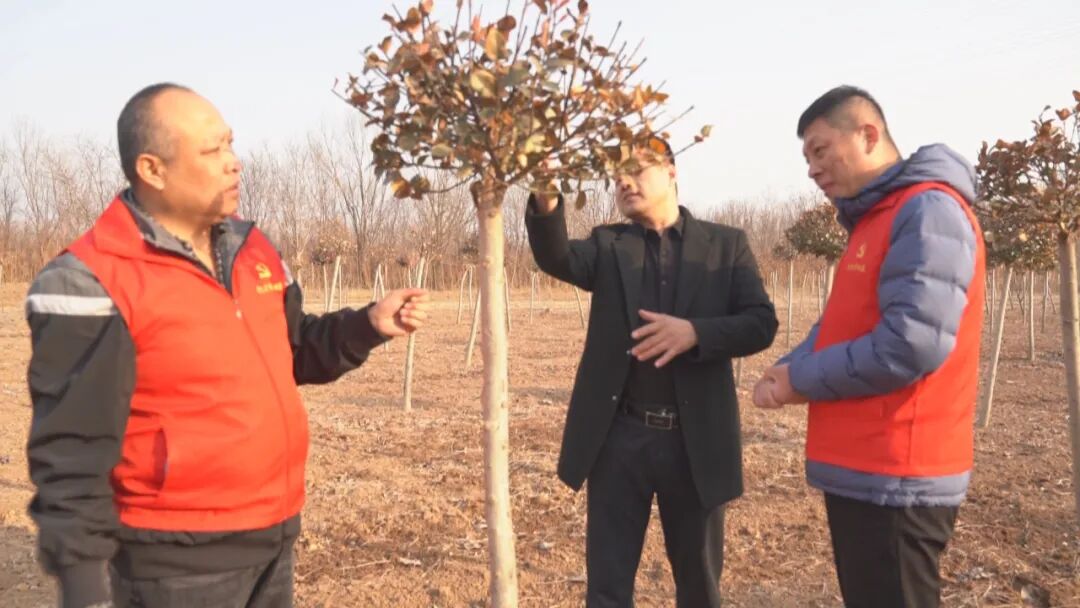 茌平涉农审批再优化全力保障春耕备耕