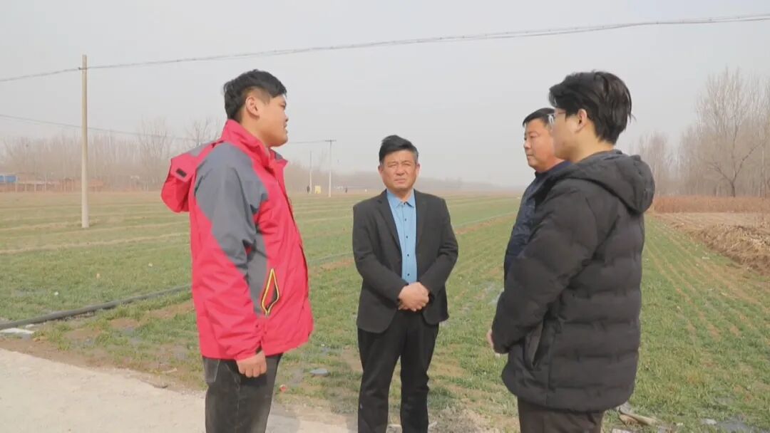 茌平小麦春管正当时变废为肥助农惠农