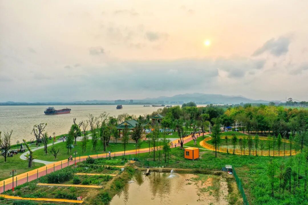 DJI_0951.JPG