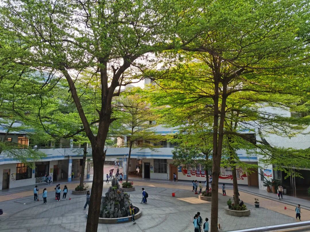 学校照片.jpg