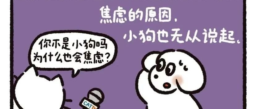 cover_image
