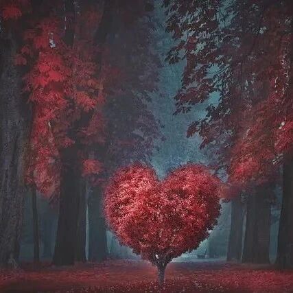 首奖5000元〡第五届“爱情隧道华文诗歌奖”征文大赛启事，10月31日截稿