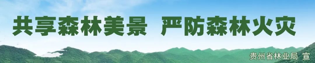 2024年07月26日 黔南天气