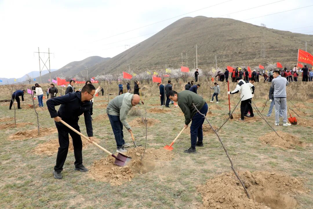 不仅为绿化家乡尽了一份责,也缓解了一下紧张学习的心情"张亚楠说,她