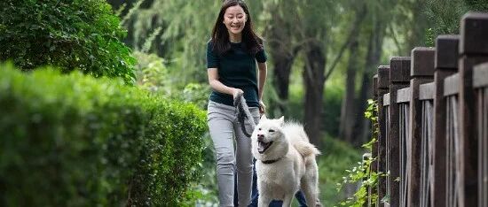 强制免疫、养犬登记、禁养烈性犬……贵阳发布关于规范养犬管理的通告！