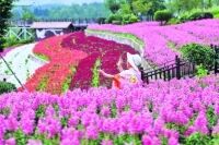 乌当区端午假期旅游收入同比增两成