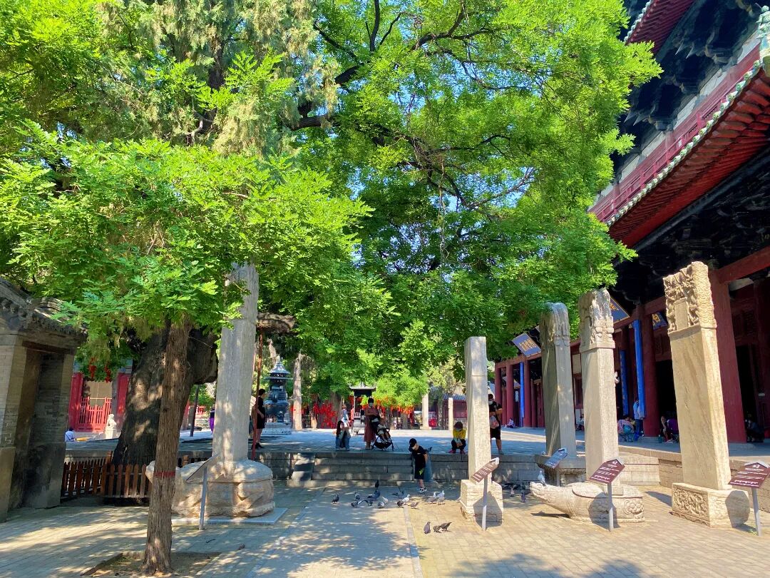 正定好玩推荐:正定这六大景区免门票啦!这些人可享