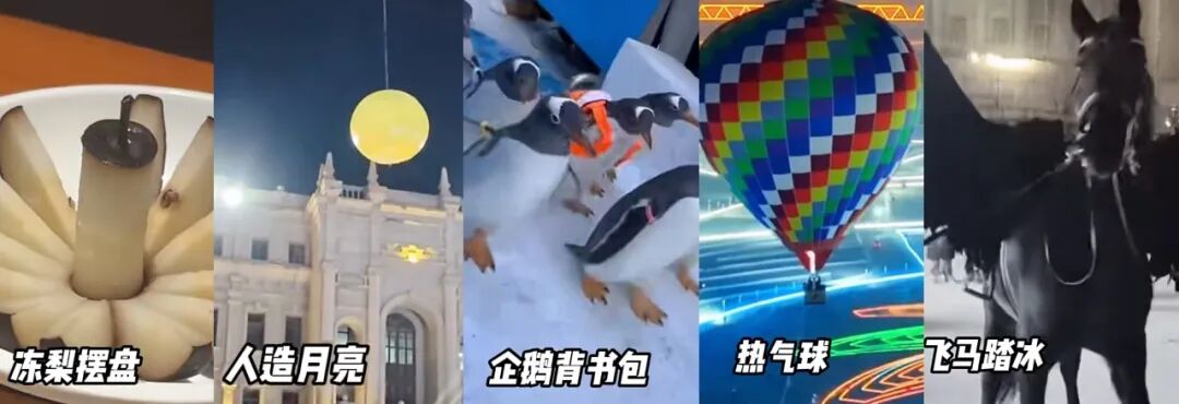 哈尔滨开年爆火，这份攻略藏不住了！