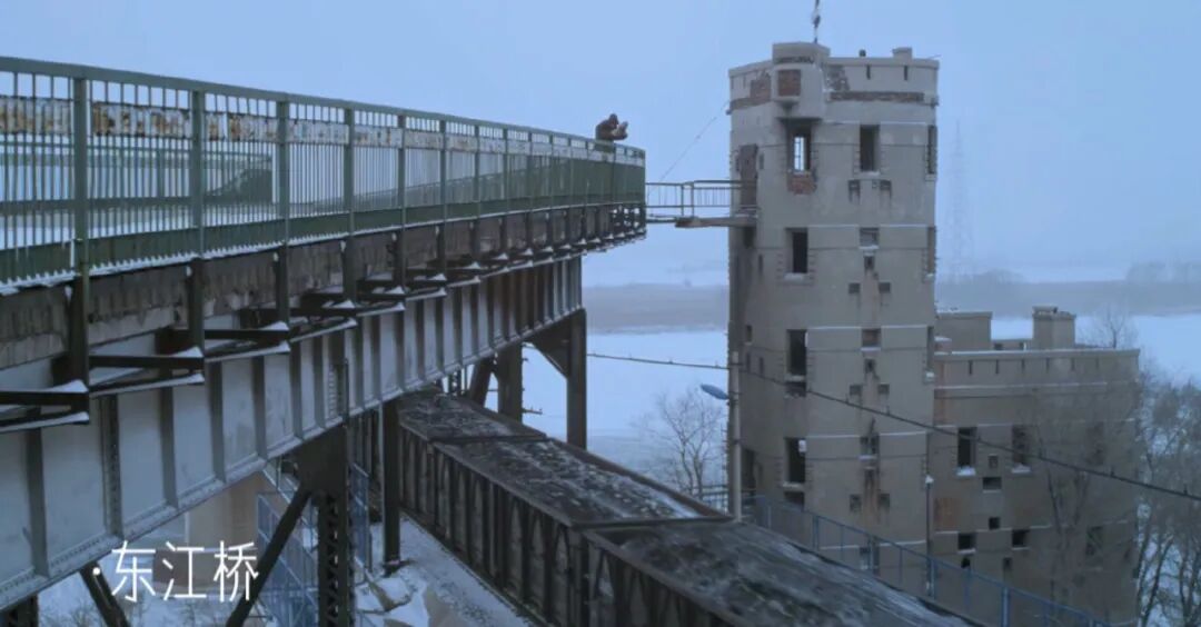 哈尔滨开年爆火，这份攻略藏不住了！