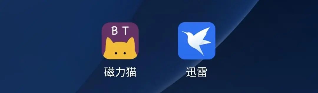 bt磁力种子搜索_bt磁力种子搜索破解版_种子搜索引擎-磁力在线