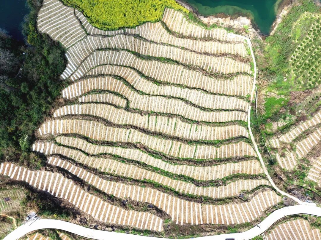 微信图片_20260312164019_2395_117.jpg