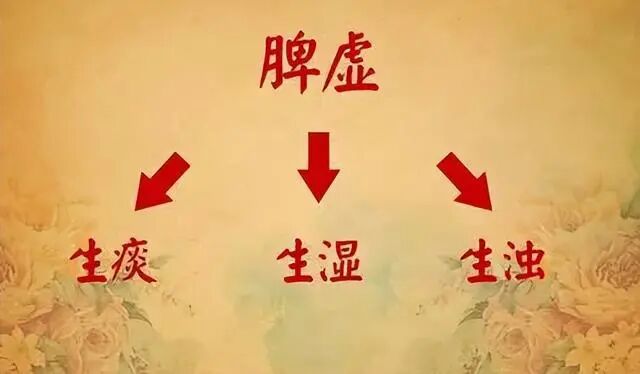 21天減肥法_小孩能吃蒲地藍嗎_ktv調聲