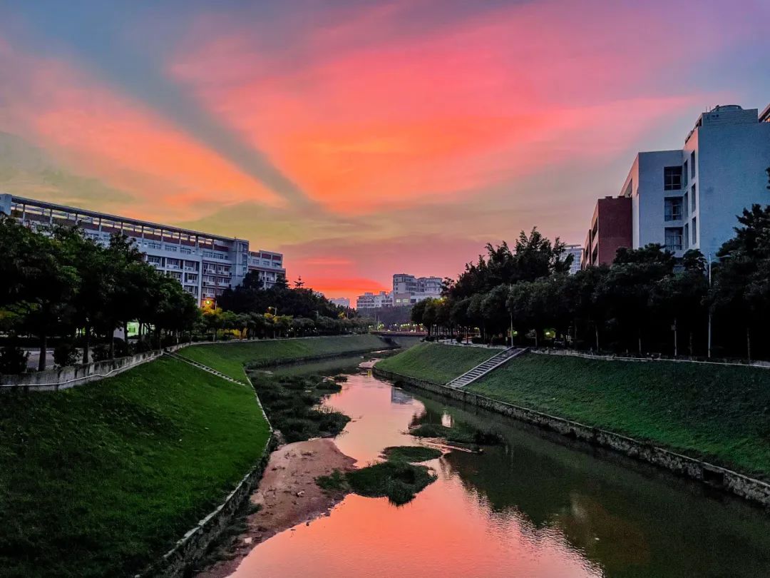 广州城建职业学院分数线_广州城建职业学院分数线_广州城建技术学院的分数线