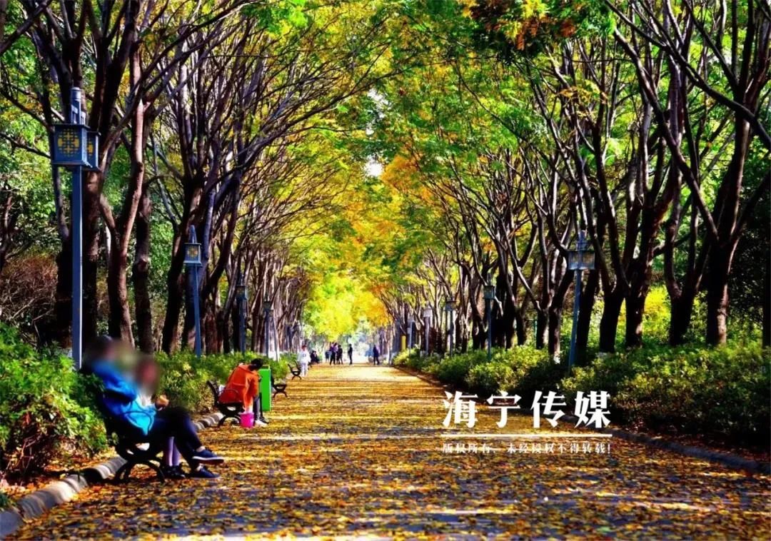 一个家庭最大的财富，不是房子，不是存款，而是…...
