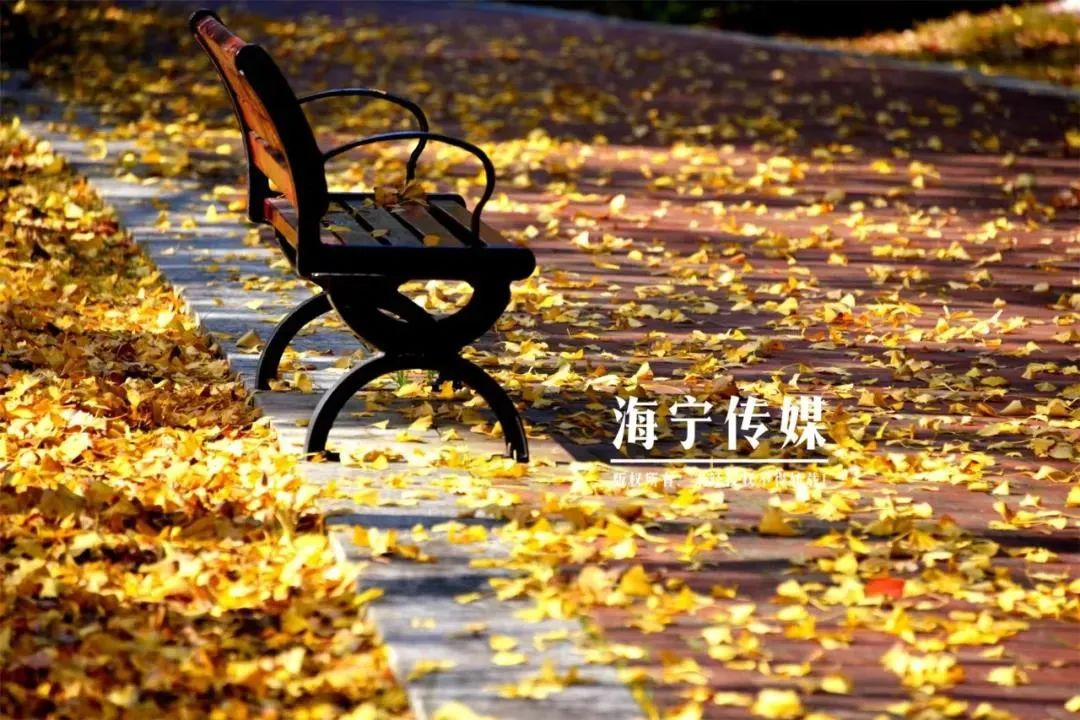 一个家庭最大的财富，不是房子，不是存款，而是…...