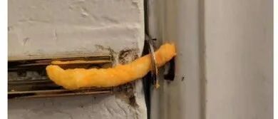 BTC现货ETF通过 一起来共享这泼天富贵