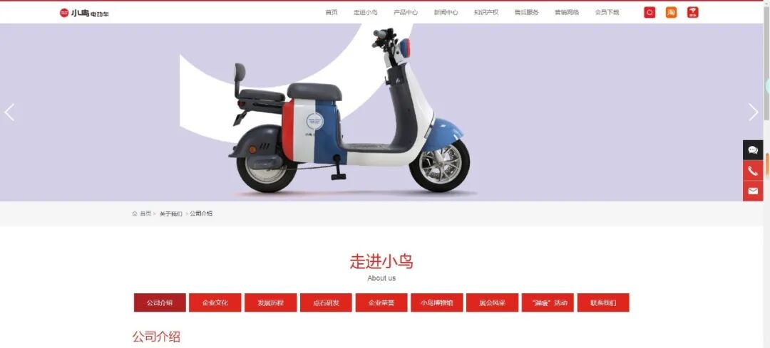 小鸟官网变脸了