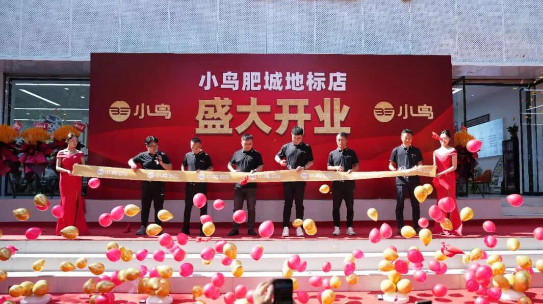 大美小鸟大美终端