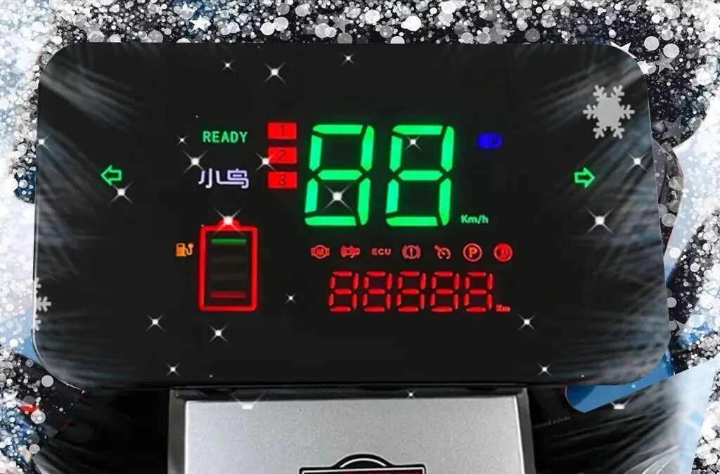 小鸟越冬妙招早知道