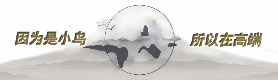 如是我小鸟二十年经略出版