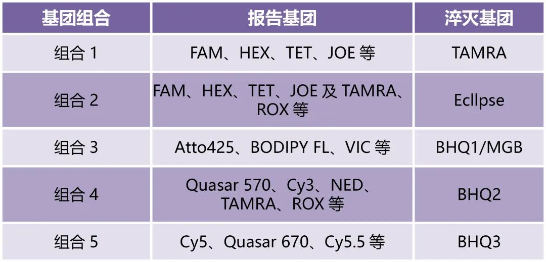 《荧光PCR探针检测简介及其在病毒检测中的应用》