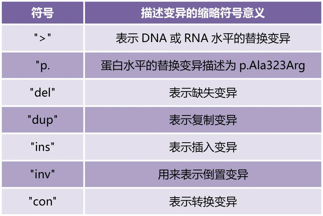 《走进科学，走进基因突变》