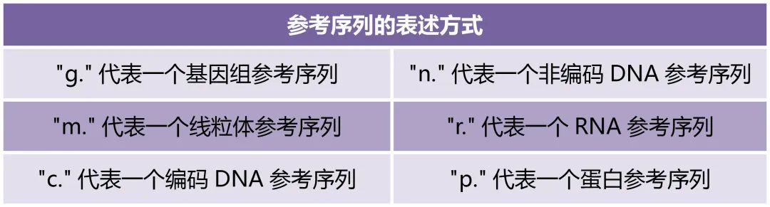 《走进科学，走进基因突变》