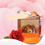 女神挚爱礼 | 致敬“她”力量，宠爱每一位女神