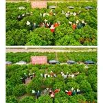 新春雅聚 欢乐如歌 | 景德镇陶瓷商会企业家和广东茶企代表访