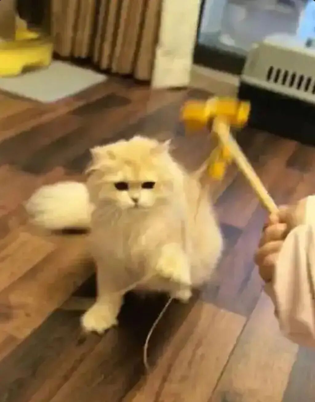 Among the array of services on offer is a healthy dose of playing time. Photo: Baidu