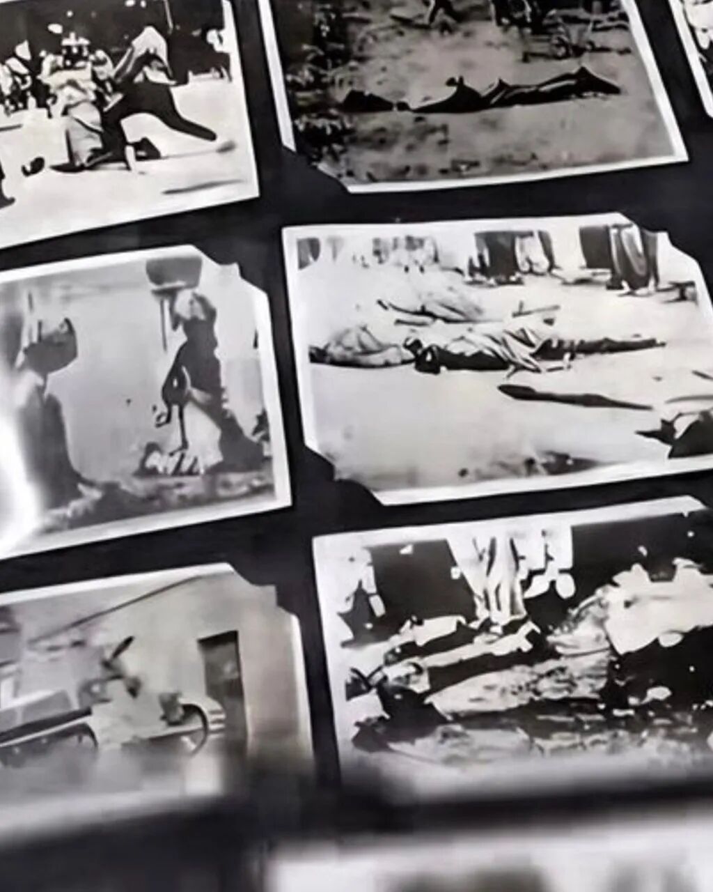 The album of photographs, above, shows some of the atrocities carried out by Japan's invading army. Photo: www.163.com