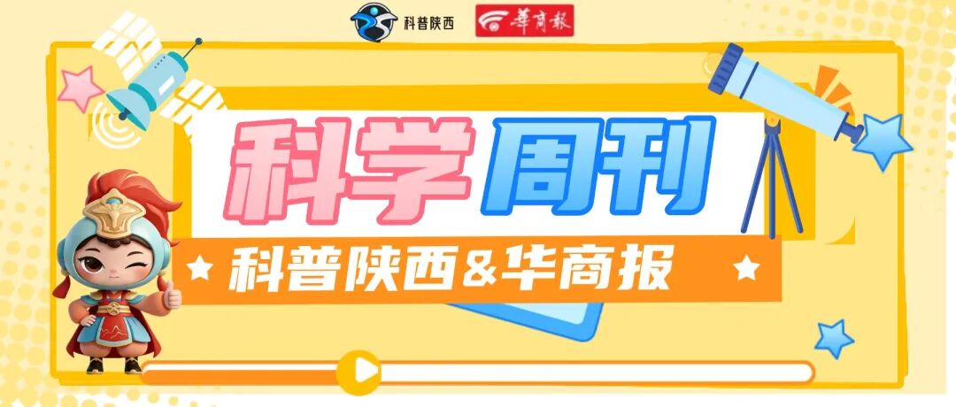 岐山科普 | 多吃“这个”对身体好？这些食补误区该清理了!