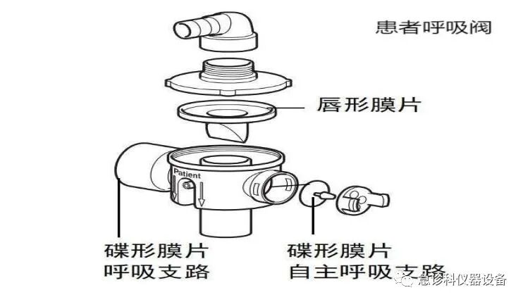 怎么使用转运呼吸机MEDUMAT Standard a转运呼吸机_https://www.jmylbn.com_新闻资讯_第4张