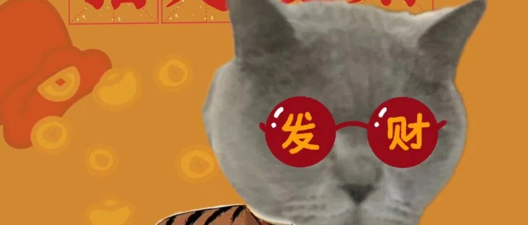 虎年特辑：猫咪新年美照祝您2022年虎虎生威