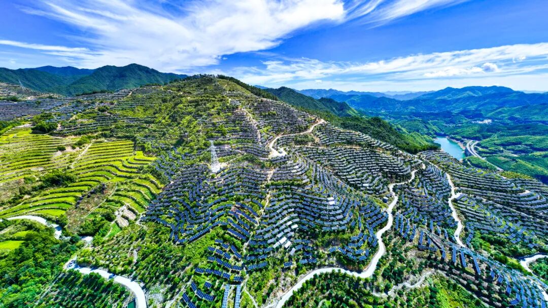 景宁畲族自治县东坑镇农光互补光伏基地 &nbsp;摄/章子妍
