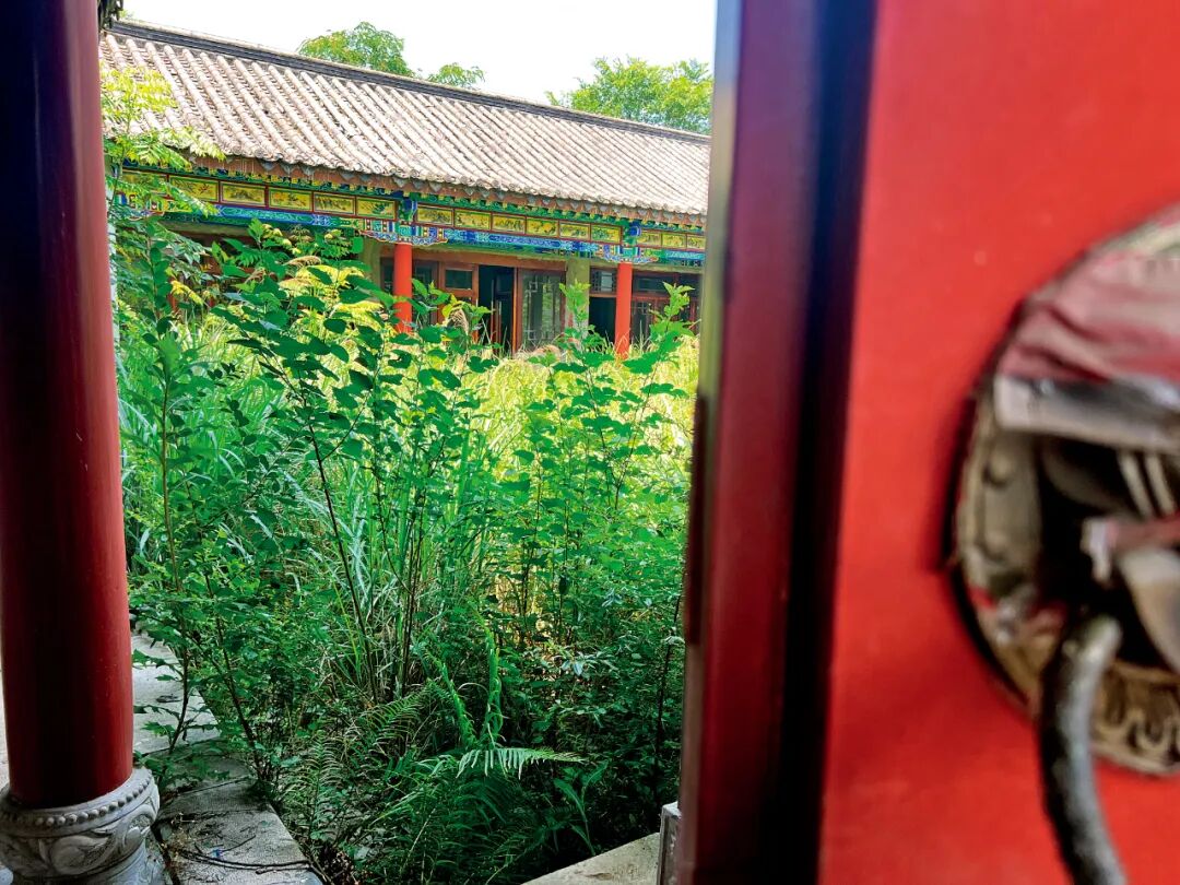 常德桃花源古镇成“空城”：部分投资者倾家荡产，益阳一古城亦烂尾