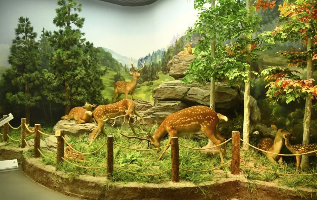 假期出游没灵感?这条线路看一看