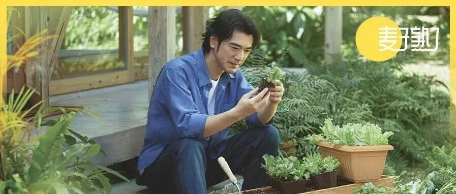 消失8年,金城武突然官宣!