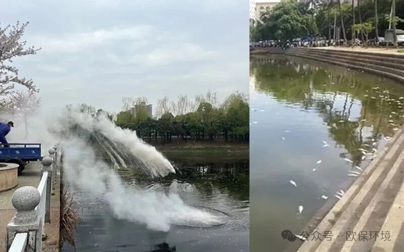 蓝藻治理