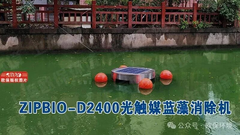 ZIPBIO-D2400光触媒蓝藻消除机